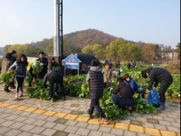 저탄소 녹색성장 “G패밀리봉사단” 배추 수확 및 전달 기사 이미지