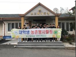 부산대학교 그린누리동아리, 일손부족농가 과일 수확에 힘보태 기사 이미지