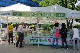 서대문구청에서 광양 매실 직거래장터 열린다 기사 이미지