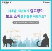 서울시,‘재개발?재건축 지역 길고양이 보호’온라인 공론장 개설 기사 이미지