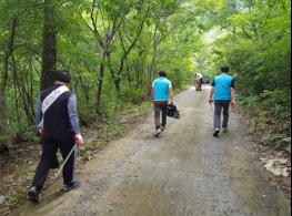 충주국유림관리소, 유관기관 합동 백두대간 산지정화 및 임자사랑해 캠페인 실시 기사 이미지