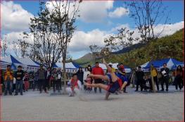 괴산군, 제38회 연풍조령문화제 개최 기사 이미지