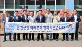 한국고등학교축구연맹 양파?마늘 구매 기사 이미지