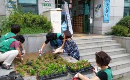 사직1동 새마을부녀회, 추석맞이 동사 화단 정비 실시 기사 이미지