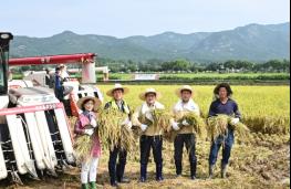 경주시, 오릉 앞들에서 ‘2019 벼 베기 행사’ 가져 기사 이미지