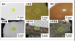 돌멩이 같은 울퉁불퉁한 표면에 붙이는 전자소자 개발 기사 이미지