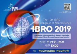 ‘뇌과학 올림픽 (IBRO 2019)’ 대구 개최 준비 마무리에 비지땀 기사 이미지