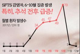 시흥시, 추석 성묘  벌초 시 진드기 주의 기사 이미지