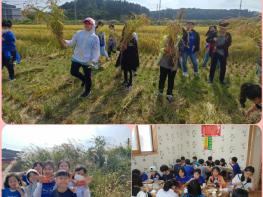 [광주우산초]3,4학년 영광군 미곡 공장 및 벼베기 농촌 체험학습 기사 이미지