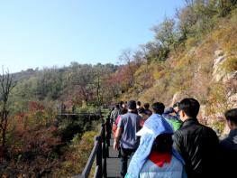 2019 서대문 안산(鞍山) 가을걷기에 음악을 더하다 기사 이미지