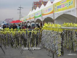 속초 별미여행, 2019 속초 양미리·도루묵 축제 기사 이미지