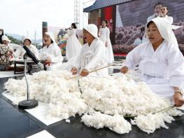 국내 첫 목화재배지 산청서 목화축제 개최 기사 이미지