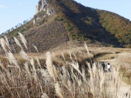 가을 珍景 산청 황매산 억새 감상하세요 기사 이미지