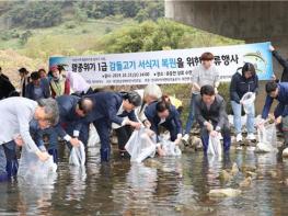 대전시, 지역생태계 상징‘감돌고기’복원 나선다 기사 이미지
