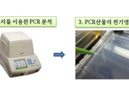 참다래 품종 구별, 이파리 한 장이면 충분해요 기사 이미지