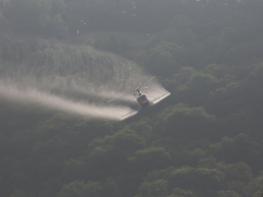 서울산림항공관리소, 밤나무 항공방제로 농가 소득증대 지원 기사 이미지