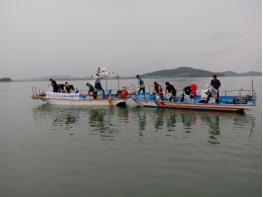 전남해양수산과학원, 고소득 ‘갑오징어’ 자원 조성 기사 이미지