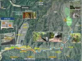 경북도, 명품 자작나무숲 활용한‘영양자작도(島)’구상 기사 이미지