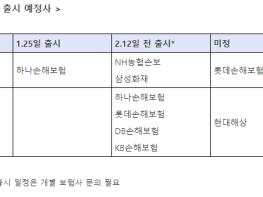 맹견 소유자는 맹견보험 가입 의무화된다 기사 이미지