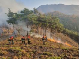 아산시, 2021년 봄철 산불발생 zero화 준비태세 ‘이상무’ 기사 이미지