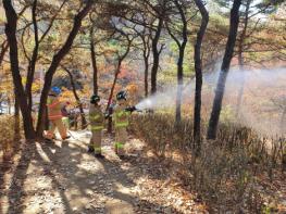 강서구, 이달부터 5월 15일까지 봄철 산불예방활동 전개 기사 이미지