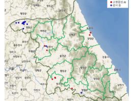 강원도, 야생조류 고병원성 AI 확산에 따른 AI 위험주의보 발령 기사 이미지
