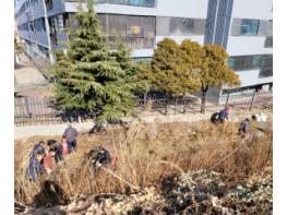 밀양시 가곡동, 주민과 함께 설맞이 환경정비 실시 기사 이미지