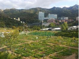 관악구, 친환경 도시텃밭 오는 23일부터 분양신청 접수 기사 이미지