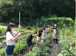 광주시농업기술센터, 학생들을 위한 학교 치유텃밭(스쿨팜) 조성 운영 기사 이미지