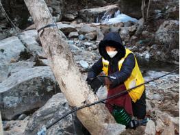 산청군 ‘지리산 고로쇠’ 본격 채취 20일부터 온오프라인 10% 할인 이벤트도 기사 이미지