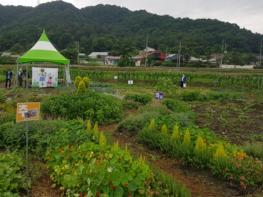 전주시, 도심 속 텃밭·도시농업공동체 늘린다 기사 이미지