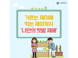 “기르는 재미에 먹는 재미까지”…나만의 텃밭 가꾸기 기사 이미지