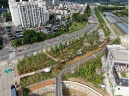 광양시, 운전면허시험장 주변 미세먼지차단숲 조성 기사 이미지