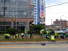 평택시 송북동 새마을부녀회, 여름꽃 식재 기사 이미지