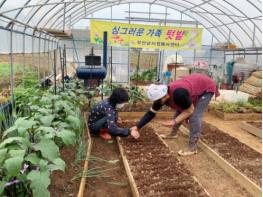 무안군 자원봉사센터, 싱그러운 가족텃밭 운영 기사 이미지