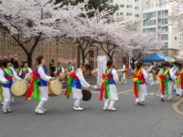 대구 서구 평리2동‘제4회 한울타리 벚꽃축제’열린다  기사 이미지