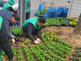 김포시 풍무동 남녀새마을회, 청사 주변 등에 봄꽃 9,000본 식재 기사 이미지