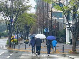 포항 촉촉이 적신 단비 ? 산불 걱정 덜고, 농민 한숨 돌렸다! 기사 이미지