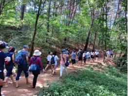 '맨발의 도시 원주!' 제1회 원주맨발걷기 축제 뜨거운 관심과 폭발적 인기... 신청 조기 마감 기사 이미지