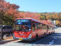 대구시 팔공산 단풍구경은 편리한 시내버스를 이용하세요! 기사 이미지