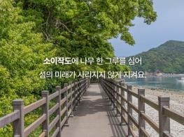 인천관광공사 소이작도에 심는 희망 한 그루,청년들과 함께하는 나무심기 캠페인 기사 이미지