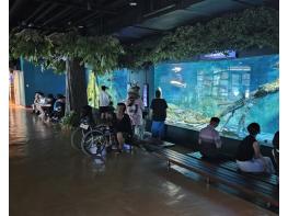 경북도, 2025년 민물고기생태체험관 어린이날 기념 특별전시 기사 이미지