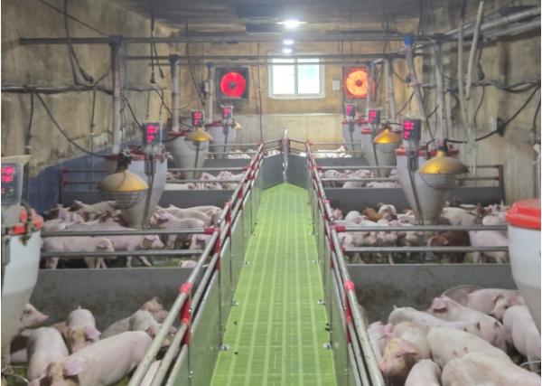 경남도, 축사화재 예방을 위한 대응체계 본격 가동한다! 기사 이미지