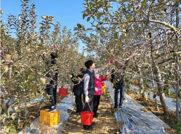 군위군, 이웃의 위기에 함께 한 손길, 민․관이 한마음으로 나서 기사 이미지