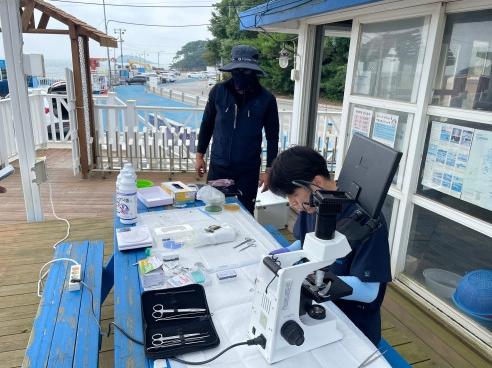 충남도 “기생충은 잡고, 수산질병은 막고!” 기사 이미지