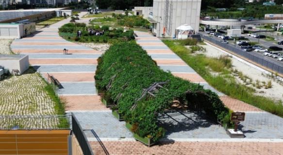 인천시, 남촌농산물도매시장 옥상텃밭 프로그램 참여자 모집 기사 이미지