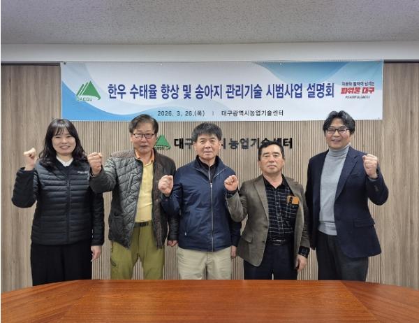 대구농업기술센터, 한우 수태율 향상 시범사업 추진 기사 이미지