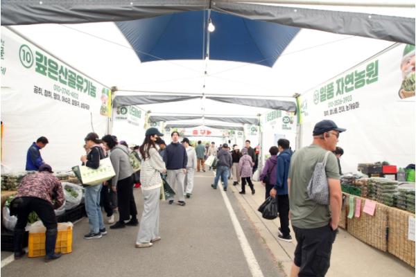 봄의 시작, 제8회 홍천 산나물축제 개막 기사 이미지