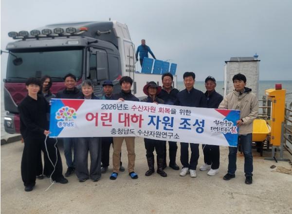 충남도 서해 연안에 대하 2000만 마리 방류 기사 이미지